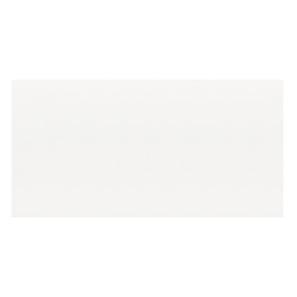 SALDO - T603C1 - 000781 WHITE FROST PLUS MATE Ceramica Muro Blanco Acet. 30x59 RT