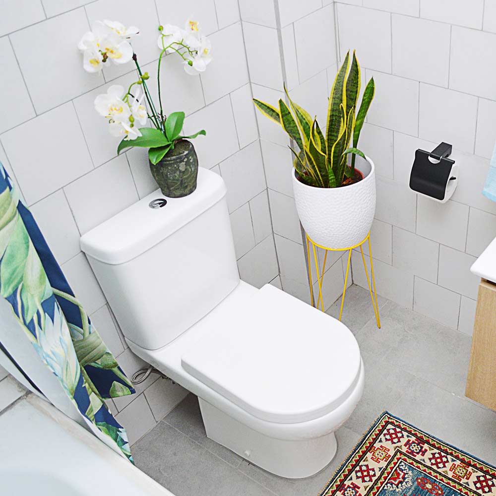 Sanitario Wc Completo Ares