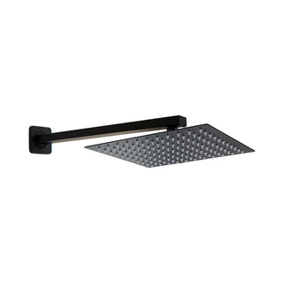 Plato Ducha Cuadrado 25 cm con Brazo 30 cm Negro Mate