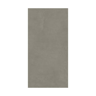 Gres - Ce3604 Element Smoke 30x60 Rectificado